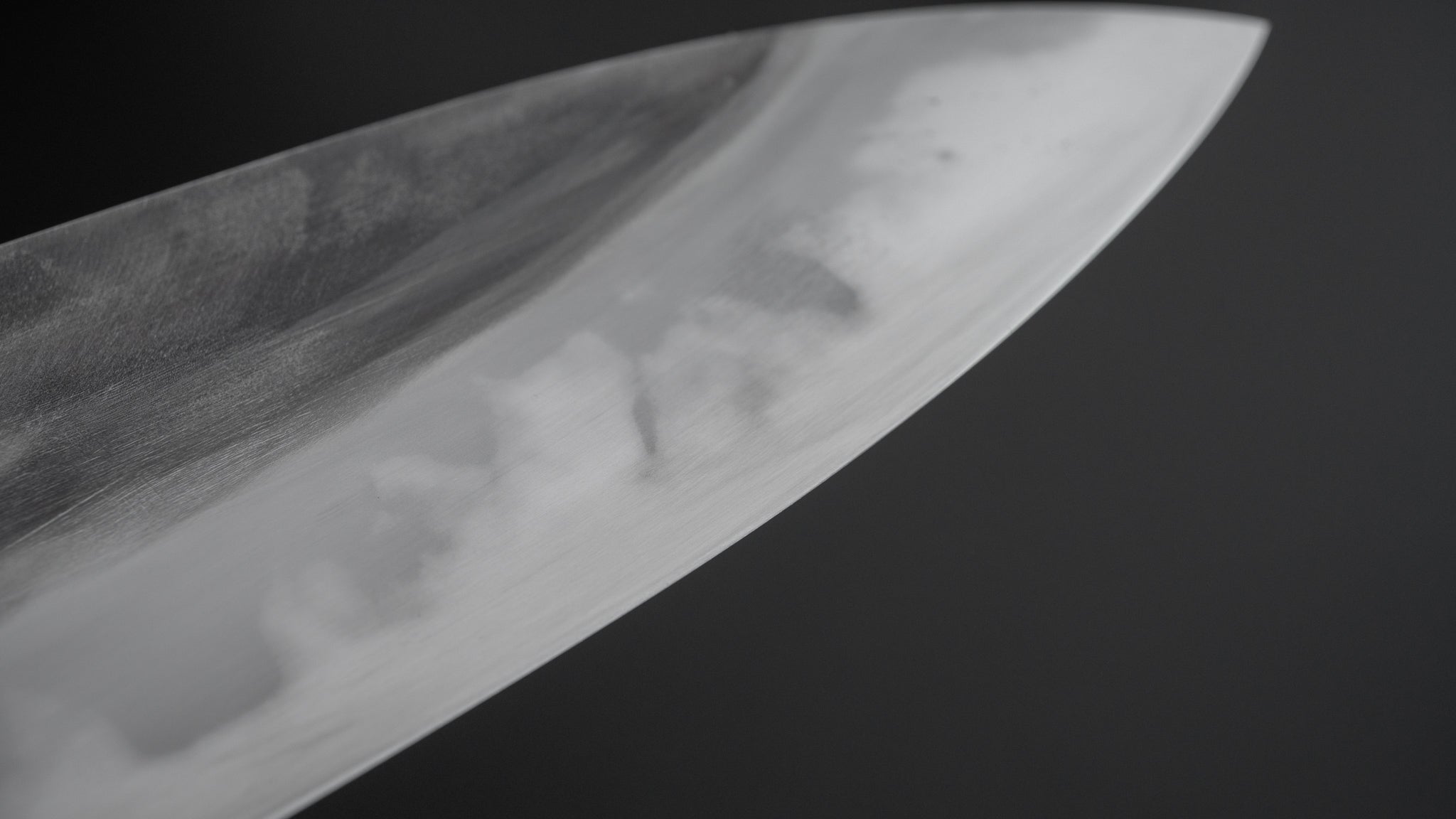 Premium Jiro Tsuchime Wa Gyuto 240mm Japanese Chef Knife with Taihei Tagayasan Handle (#217) - Perfect for Sushi, Meat Slicing & Professional Kitchen Use