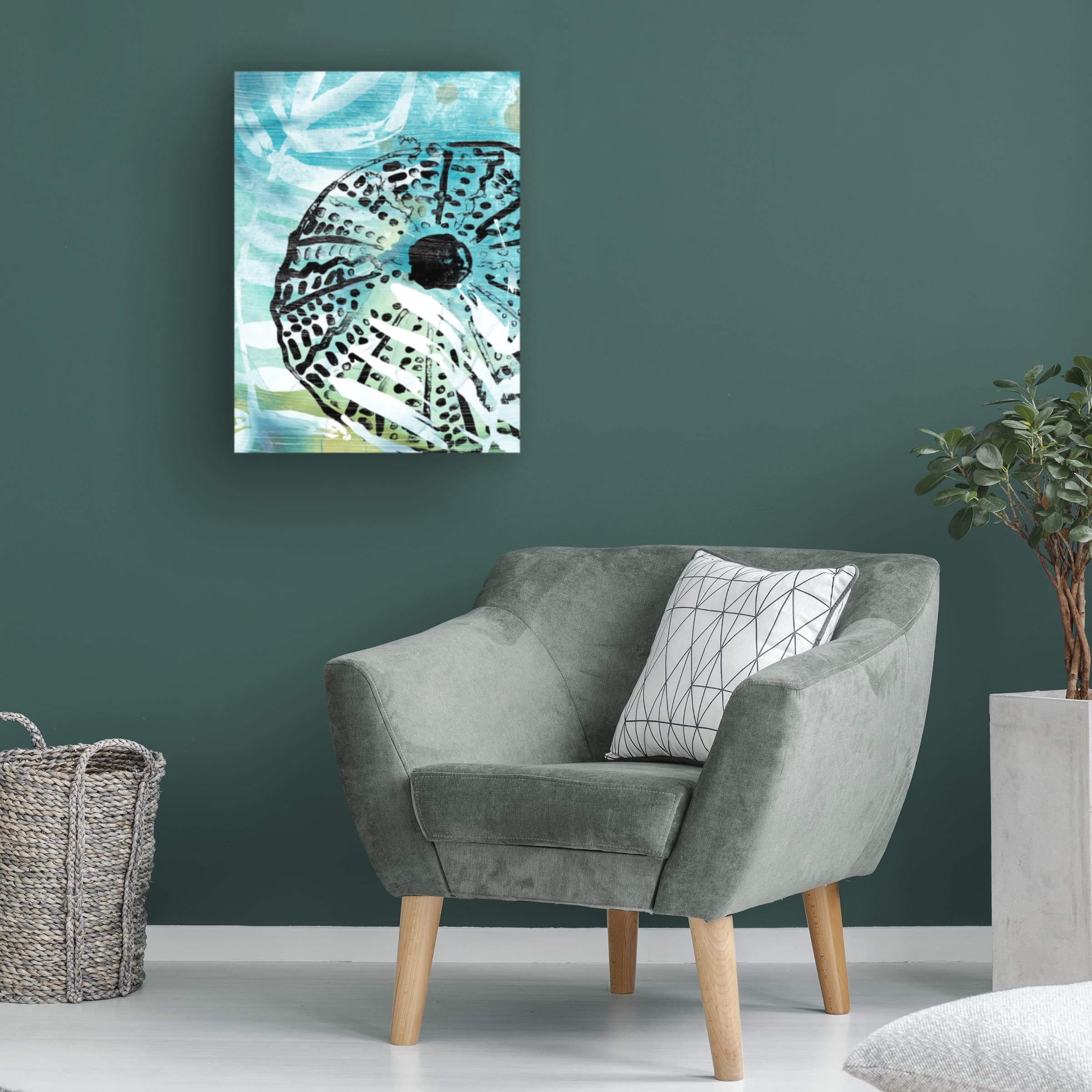 Trademark Fine Art 'Echinoidia I' Canvas Wall Art Print by June Erica Vess - Modern Home Decor for Living Room, Bedroom & Office