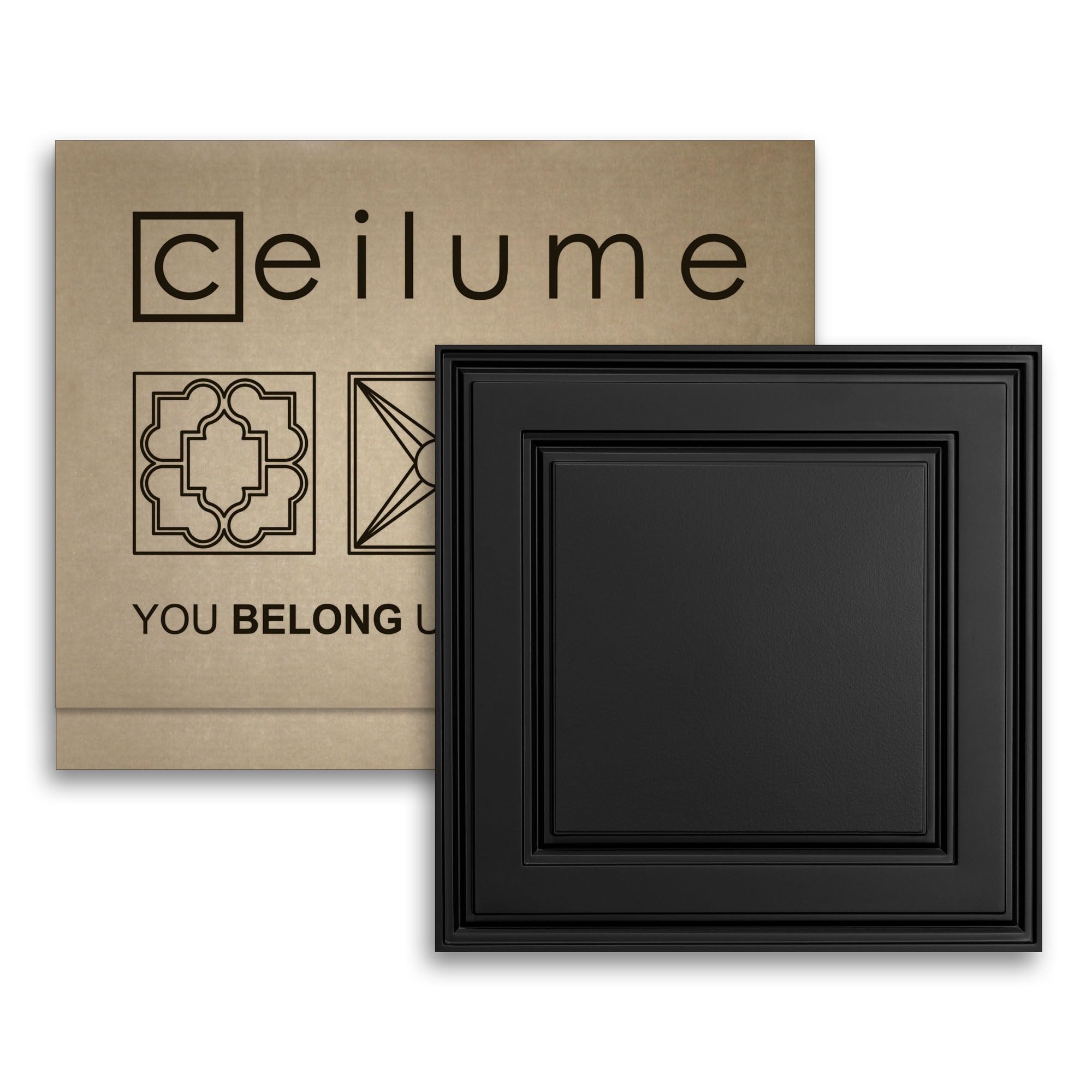 Ceilume 2x2 Ultra-Thin Feather-Light Ceiling Tiles - Stratford Black Drop Ceiling Panels for 1