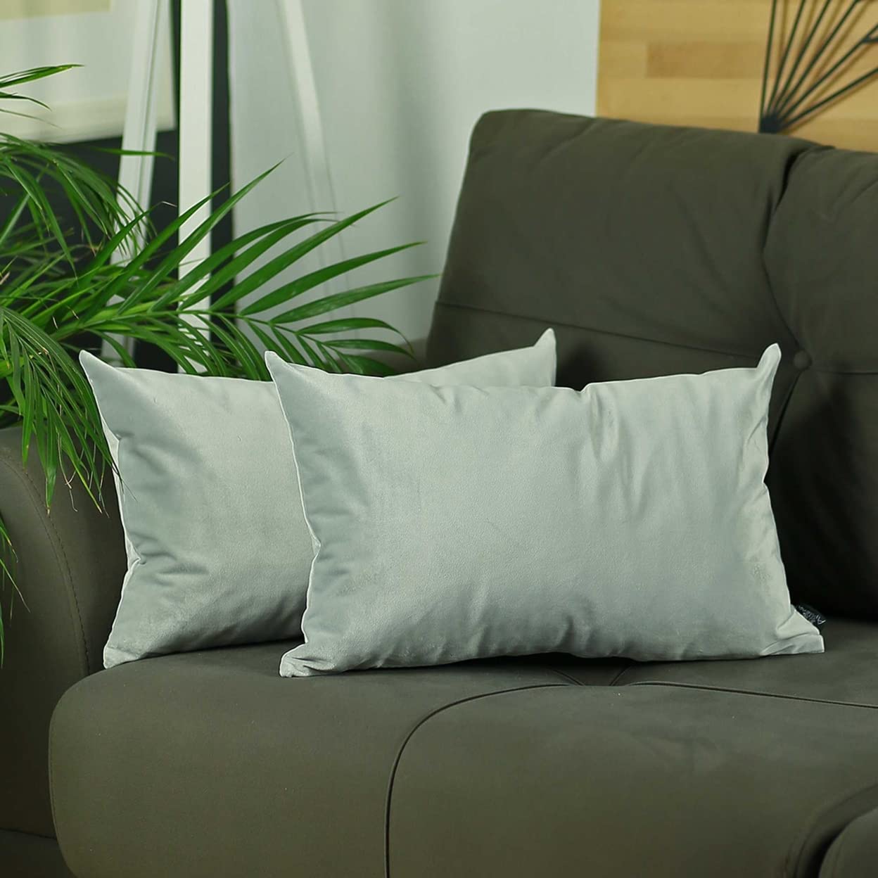 Premium Velvet Decorative Throw Pillow Covers Set of 2 - 21x14 Inches Light Grey Polyester Square Pillow Shams for Sofa, Bed, Couch - Soft Luxury Home Decor Accent Pillows for Living Room, Bedroom