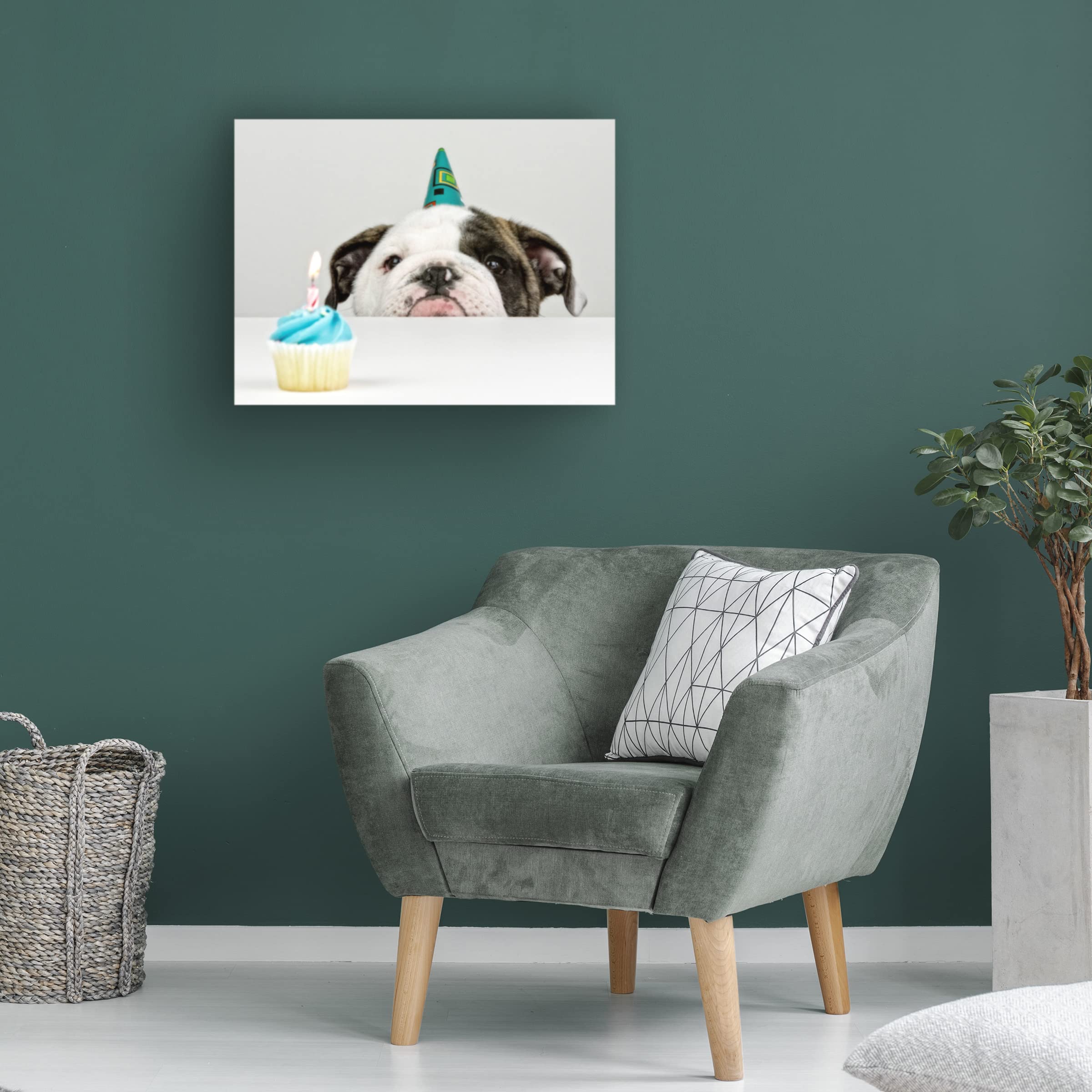 Trademark Fine Art 'A Little Birthday' Canvas Print by Mike Melnotte - Perfect for Nursery, Kids Room Decor & Birthday Gift Ideas