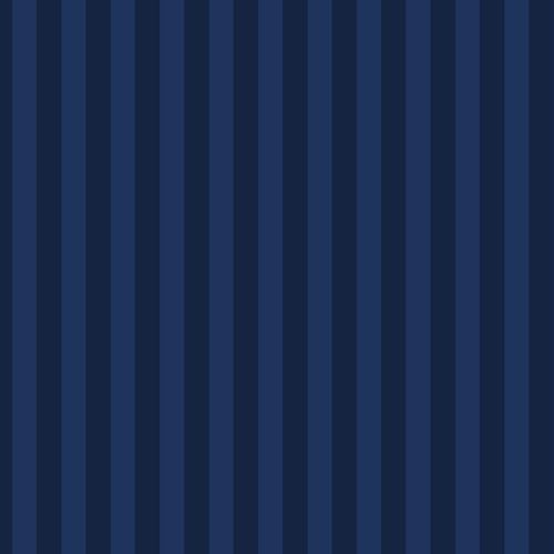Striped Indigo Navy