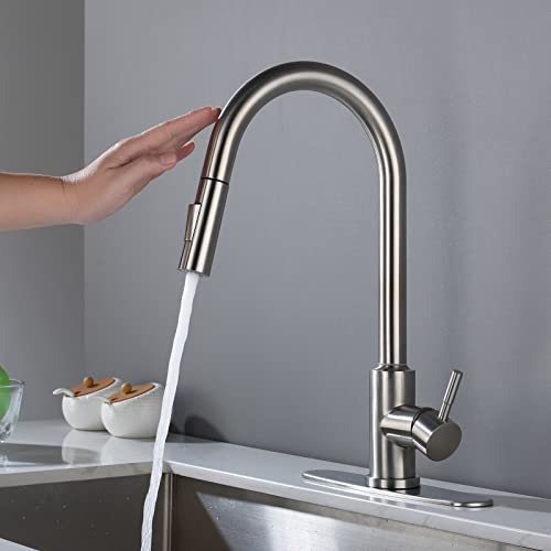 Brushed Nickel 1