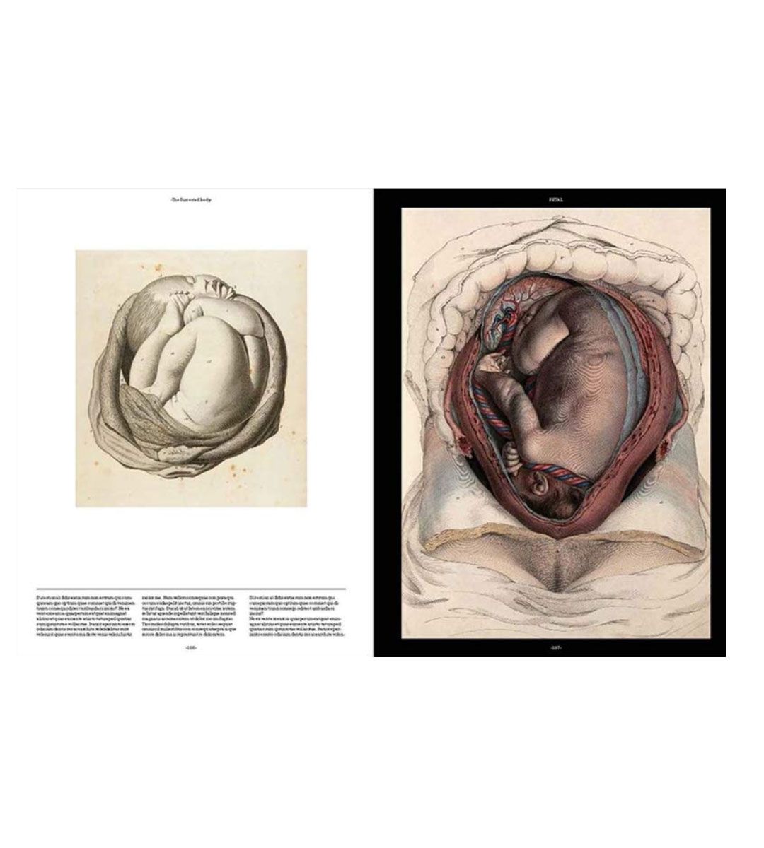 Anatomica: The Exquisite Art of Human Anatomy - Perfect for Medical Students, Artists & Science Enthusiasts