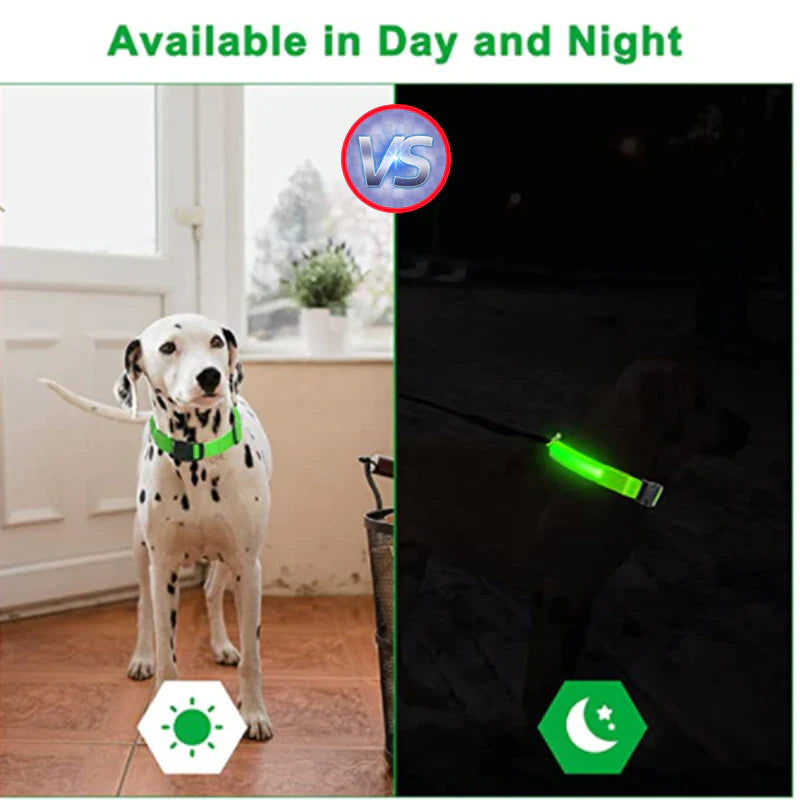 Waterproof LED Adjustable Dog Collar with Blinking & Flashing Lights - Glow Pet Safety Collar for Night Walks, Jogging & Outdoor Adventures
