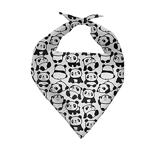 cute panda