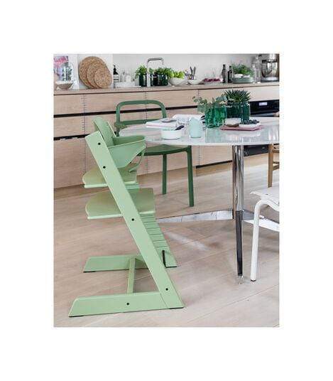 Stokke Tripp Trapp High Chair - Adjustable Baby & Toddler Wooden Chair with Safety Harness - Perfect for Dining, Feeding & Learning at Home