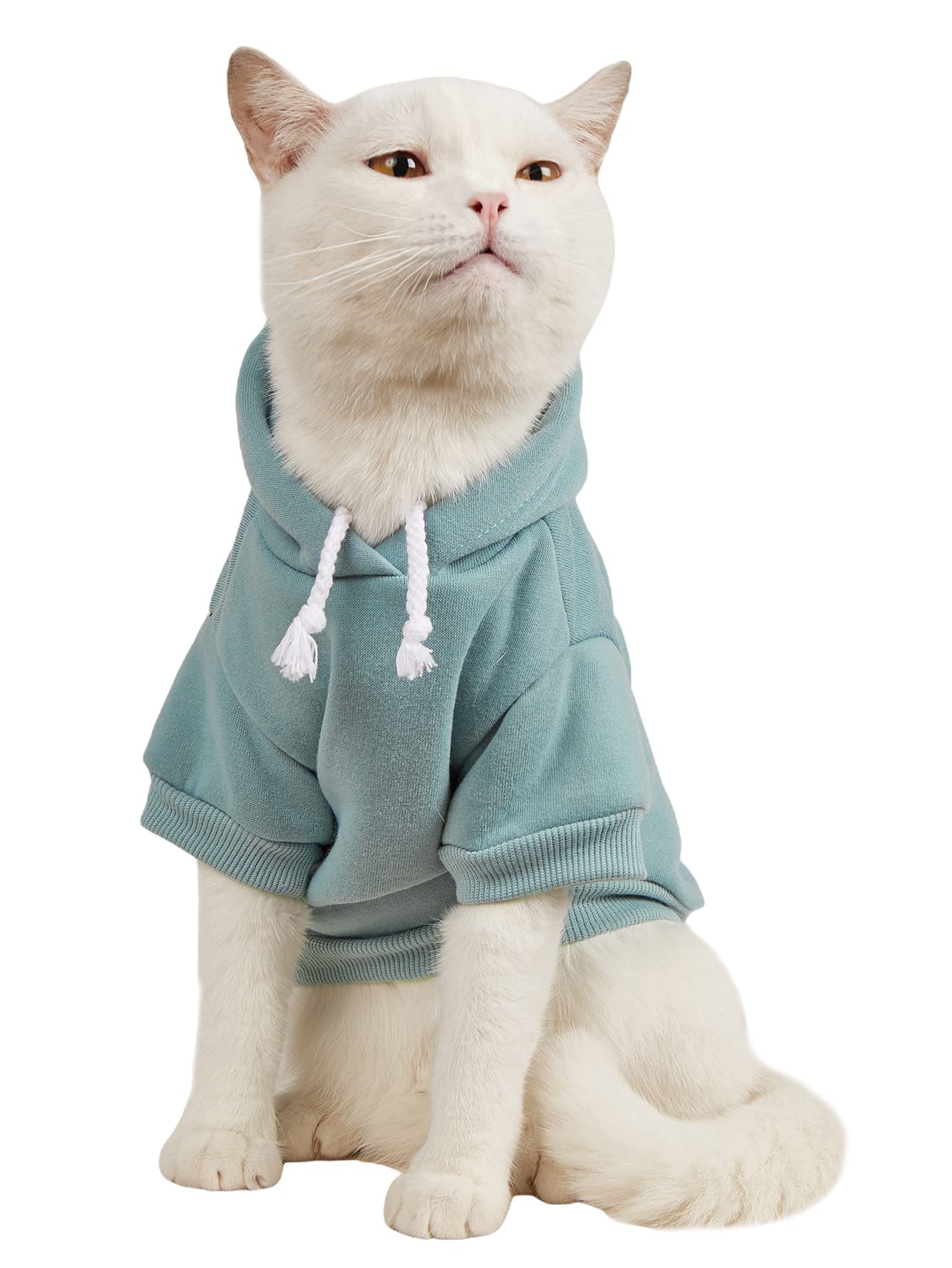 QWINEE Basic Dog Hoodie - Warm Winter Jacket for Small & Medium Dogs & Cats - Cozy Pet Apparel for Puppies & Kittens - Cadet Blue - Perfect for Cold Weather Walks & Indoor Comfort
