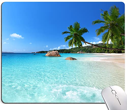 Hawaii Beach