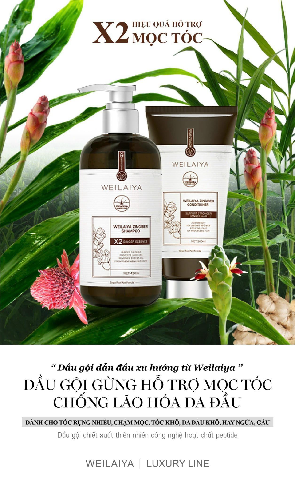 Luxury Zingiber Shampoo and Conditioner Set - Natural Ginger Hair Care for Shine & Growth - Perfect for Dry, Damaged Hair at Home or Salon Use