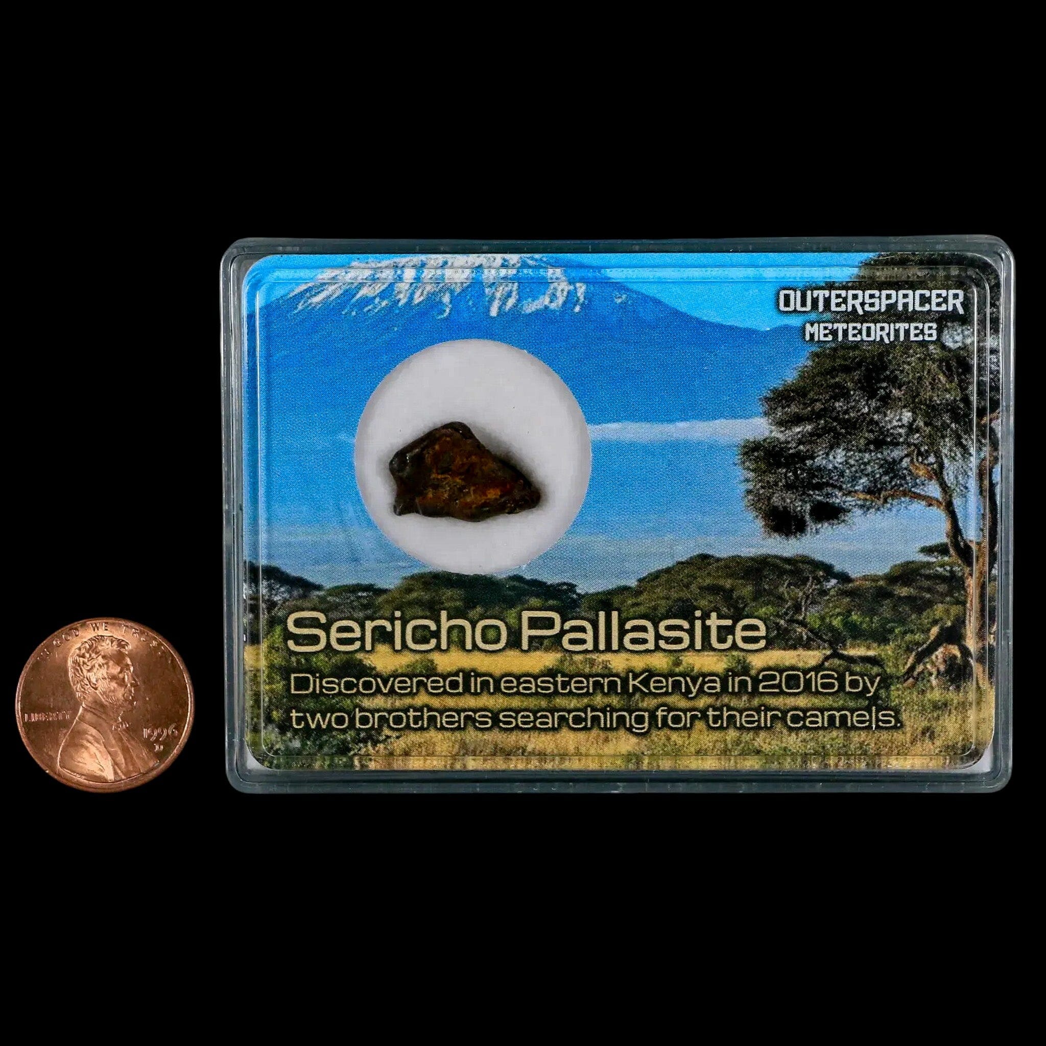 Authentic Sericho Stony Iron Pallasite Meteorite from Kenya Africa (Found 2016) - Rare 1.78g Space Rock Specimen for Collectors & Science Display - Perfect for Home Decor, Educational Use & Astronomy Enthusiasts