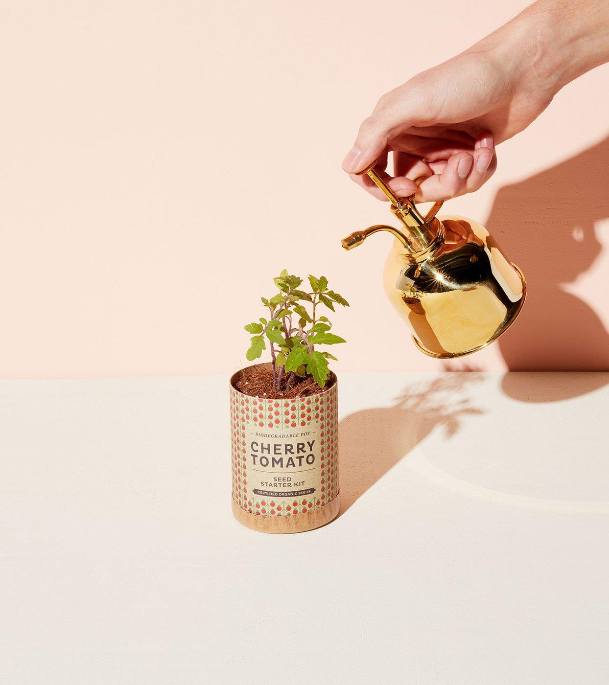 Premium Brass Plant Mister - Elegant Handheld Spray Bottle for Indoor Plants, Succulents & Orchids | Perfect for Home Gardening, Terrariums & Plant Care
