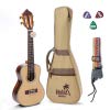 Solid Spruce Top