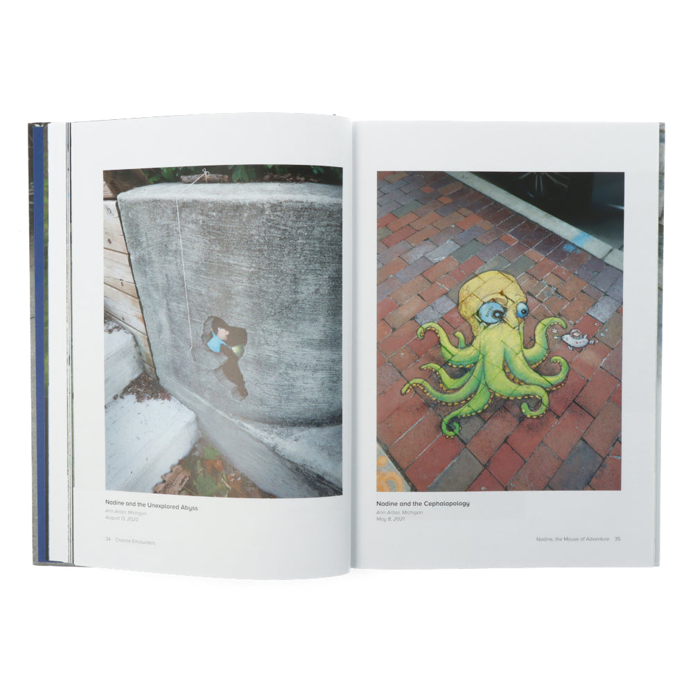 Chance Encounters: David Zinn's Temporary Street Art Book - Urban Art Collection for Artists & Designers | Perfect for Creative Inspiration & Home Decor