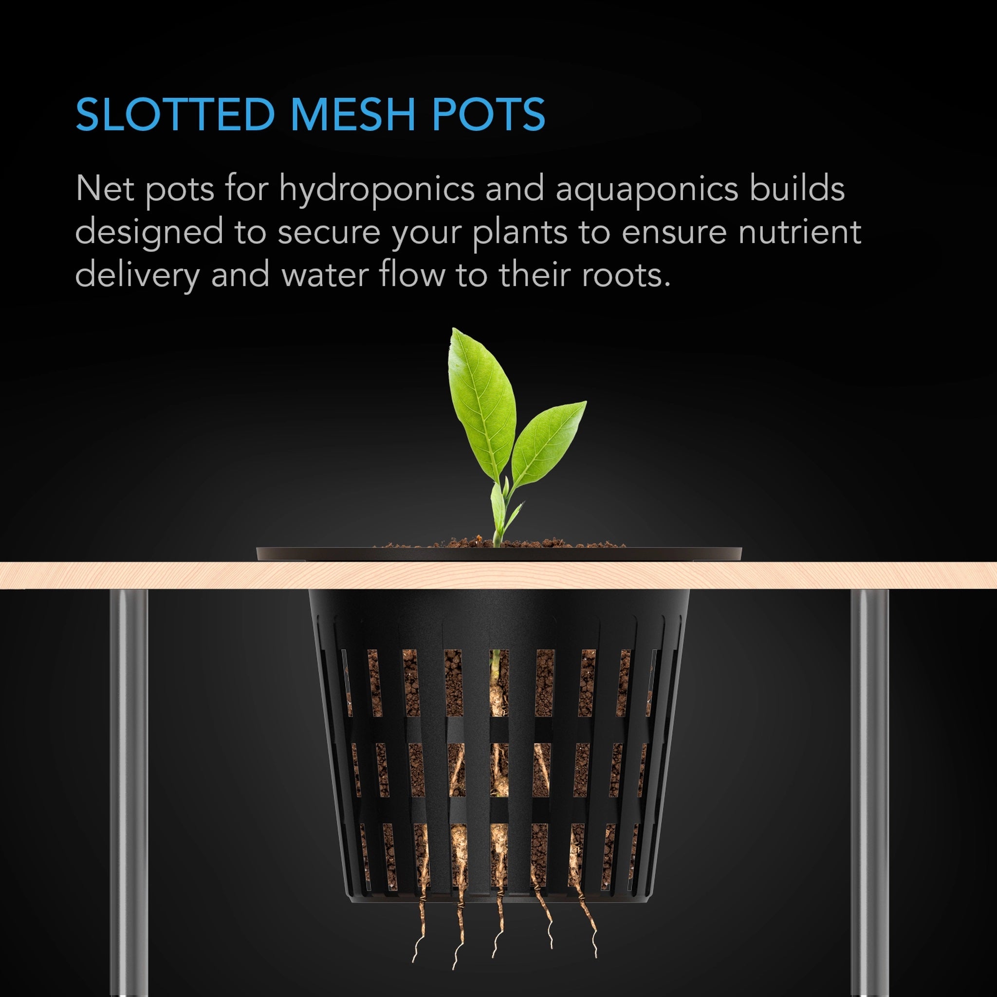 AC Infinity 3 Inch Slotted Mesh Net Cups - Hydroponic Grow Cups for Indoor Gardening, Seed Starting, and Plant Propagation