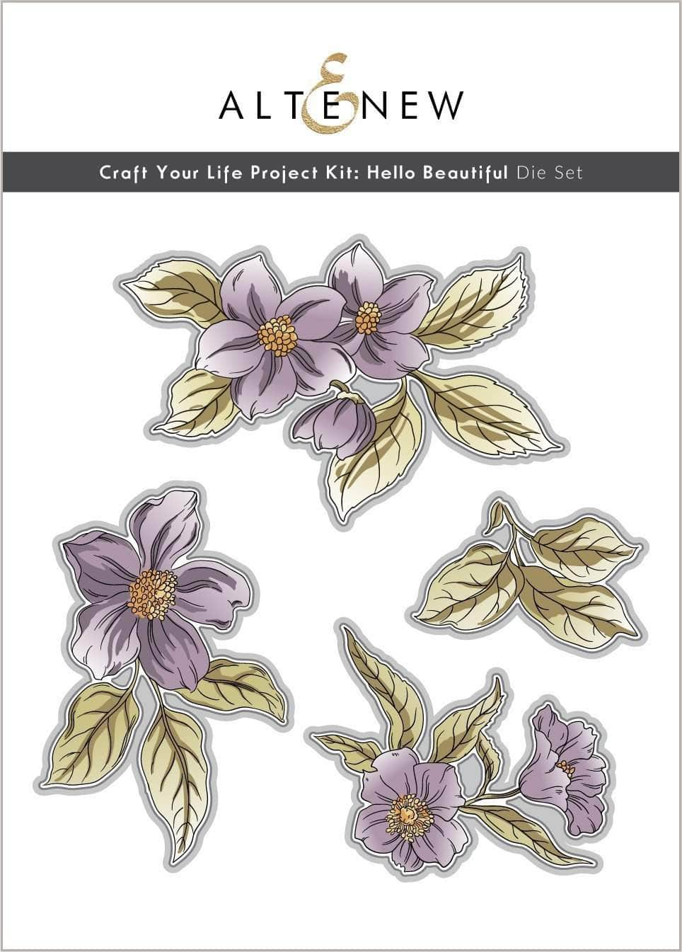 DIY Craft Your Life Project Kit: Hello Beautiful - Creative Scrapbooking & Card Making Supplies for Handmade Greeting Cards, Journals, and Home Decor