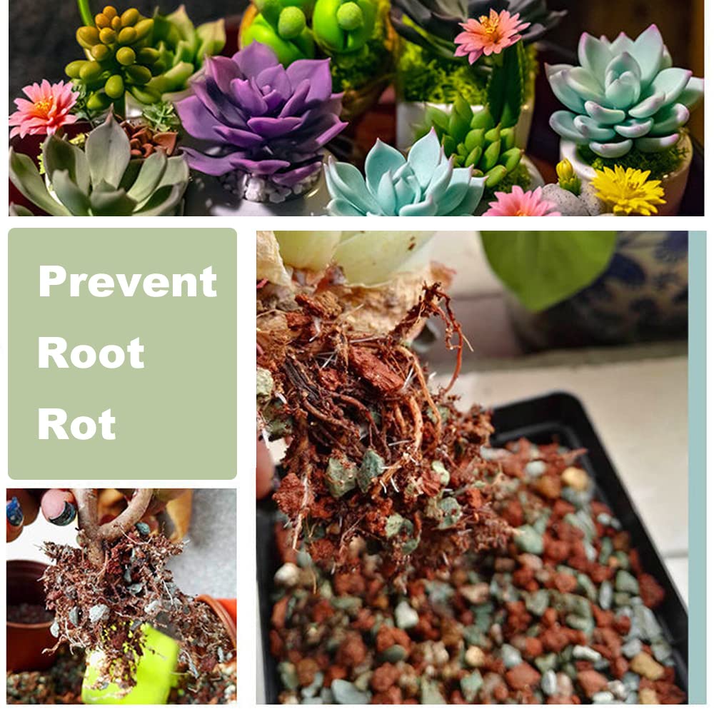 2.2lbs Horticultural Lava Rock Mix - Premium Bonsai, Succulent & Cactus Potting Soil with Volcanic Rock | Fast-Draining Gritty Decorative Gravel for Plant Drainage, Vase Fillers, Terrariums & Fairy Gardens | Ideal for Indoor/Outdoor Plants, DIY Gardening Projects & Landscape Design