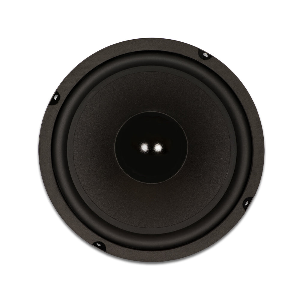 Goldwood GW-8028 8 Ohm 100W High Power Home Stereo Woofer Speaker - Perfect for Home Theater, Car Audio & DIY Speaker Projects