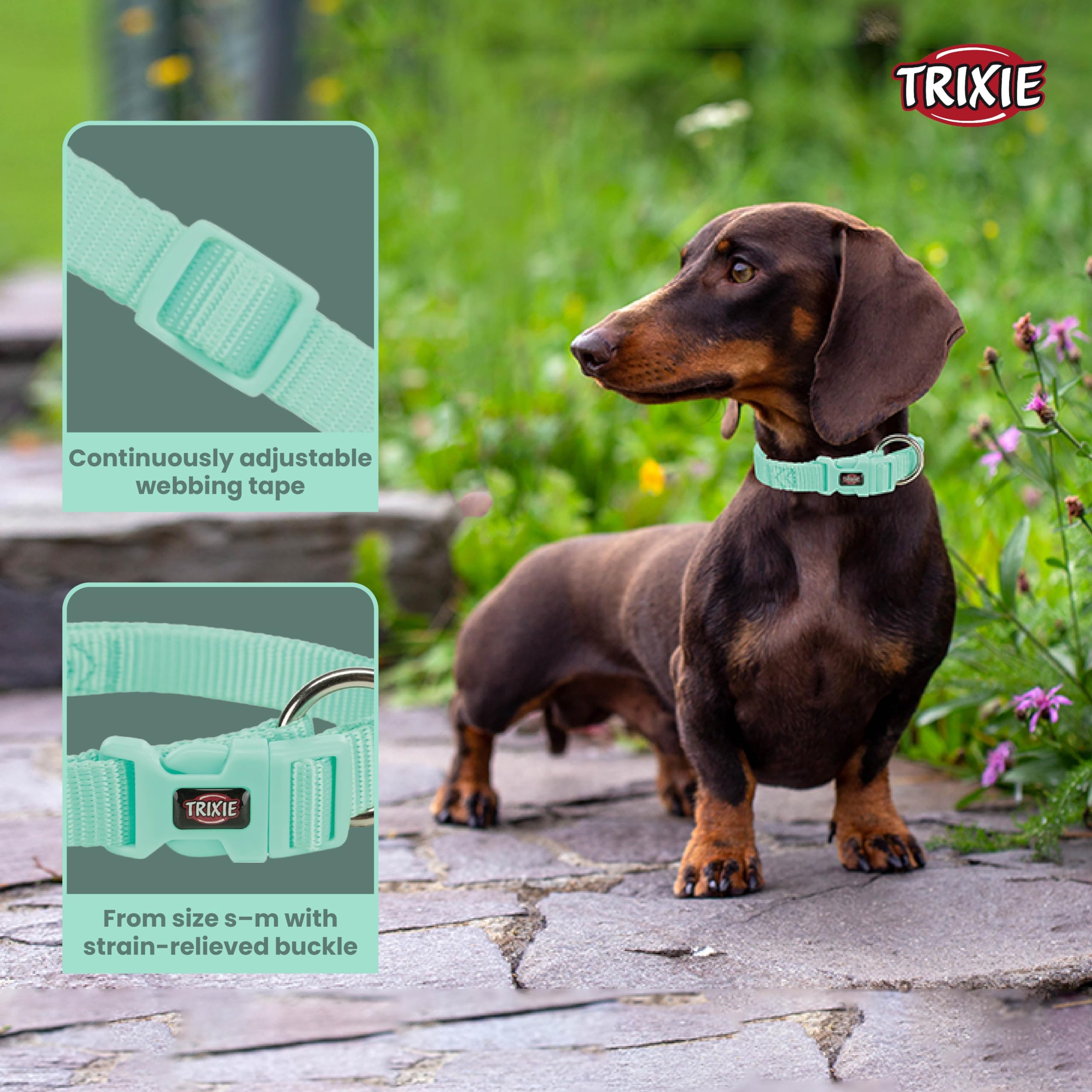 Premium TRIXIE Softline Elegance Adjustable Dog Collar - Nylon Material with Padded Buckle for Comfort (Small-Medium, Mint/Teal, 23cm x 4.5cm) - Perfect for Daily Walks, Training & Fashionable Pet Accessories