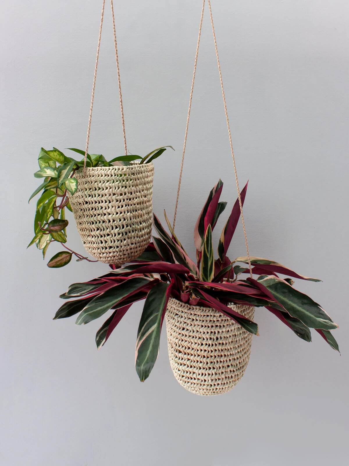 Natural Open Weave Dome Hanging Baskets - Handmade Rattan Planters for Indoor & Outdoor Decor | Perfect for Flowers, Herbs, and Home Garden Decorations