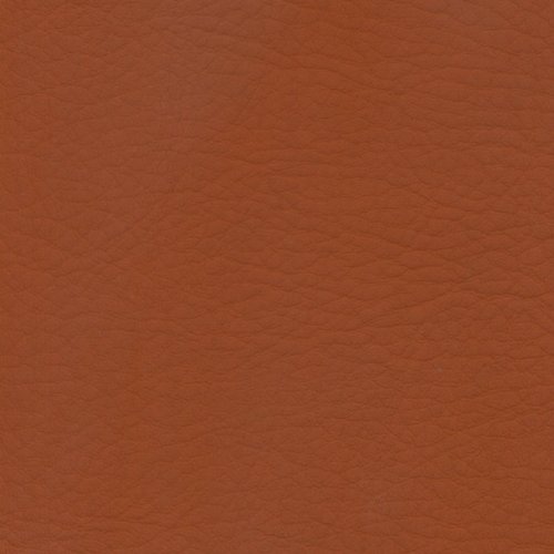Cinnamon