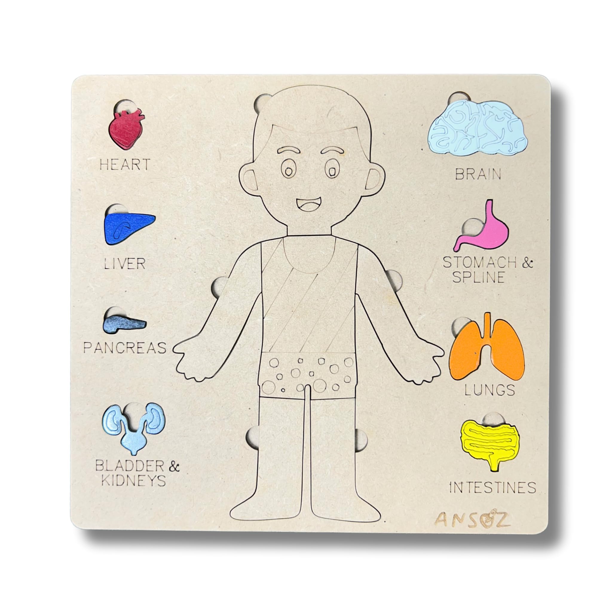 Ansoz Wooden Human Body Parts Puzzle for Kids Ages 2-8 | Montessori Learning Toy for Toddlers 3-5 Years Old | Educational Preschool Game to Teach Body Parts | Perfect for Homeschooling & Classroom Activities