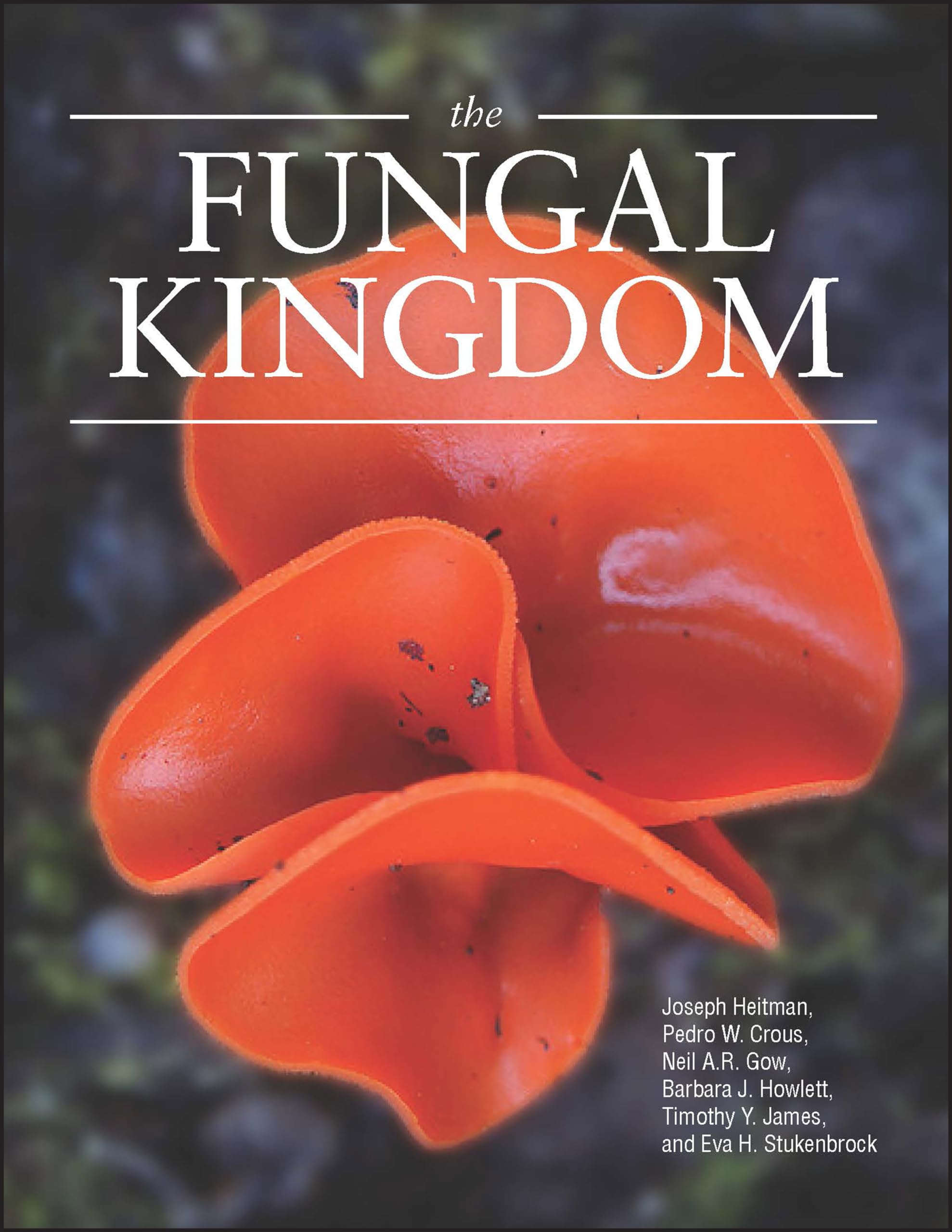 The Fungal Kingdom (ASM Books) - Explore Mycology & Fungi Science | Perfect for Biology Students, Researchers & Nature Enthusiasts | Study, Research & Educational Use