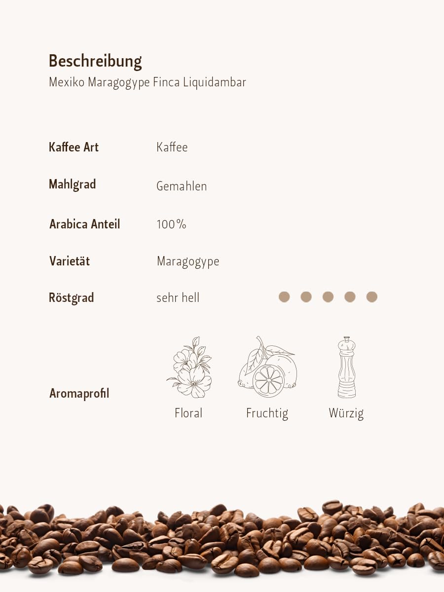 Berliner Kaffeerösterei - Mexico Maragogype Finca Liquidambar Coffee Beans (1000g / Ground), Light Roast Level, 100% Arabica, Floral/Fruity/Spicy Aroma Profile - Perfect for Home Brewing, Office Use & Gift Giving