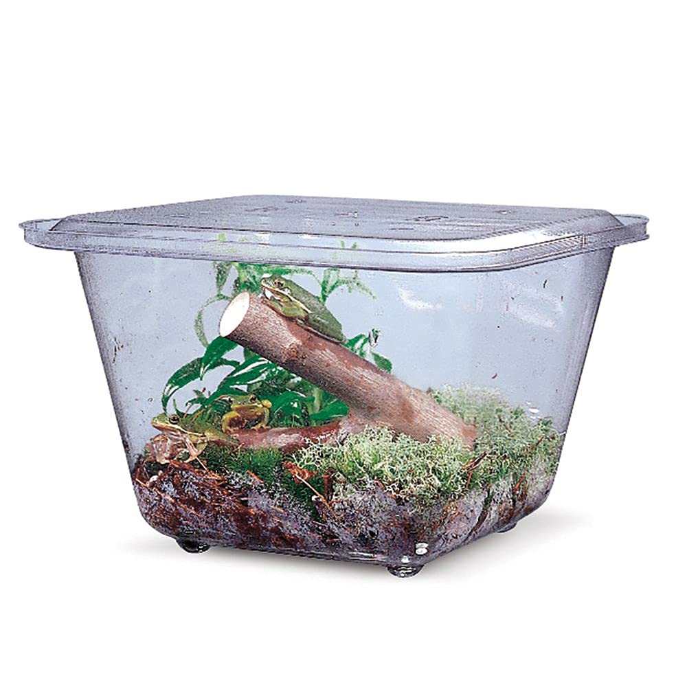 1 Gallon Plastic Aquarium Tank for Fish & Reptiles - Ideal for Small Pets, Home Decor, and Classroom Projects