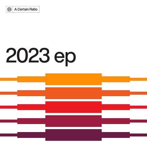 2023 Limited Edition Vinyl LP Record - Collector's Edition Music Album for Audiophiles & Vinyl Enthusiasts - Perfect for Home Listening, Gifts & Music Collections