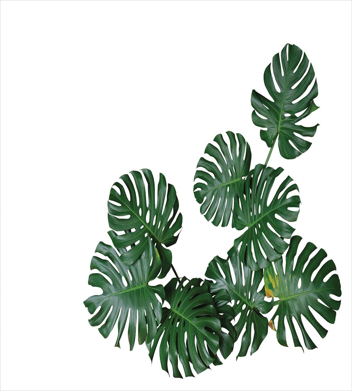 Ambesonne Philodendron Duvet Cover Set - Realistic Monstera Deliciosa Dark Green Leaves on White Background, 3-Piece King Size Bedding Set with 2 Pillow Shams in Laurel Green Emerald | Tropical Botanical Bedroom Decor for Modern Home & Guest Room