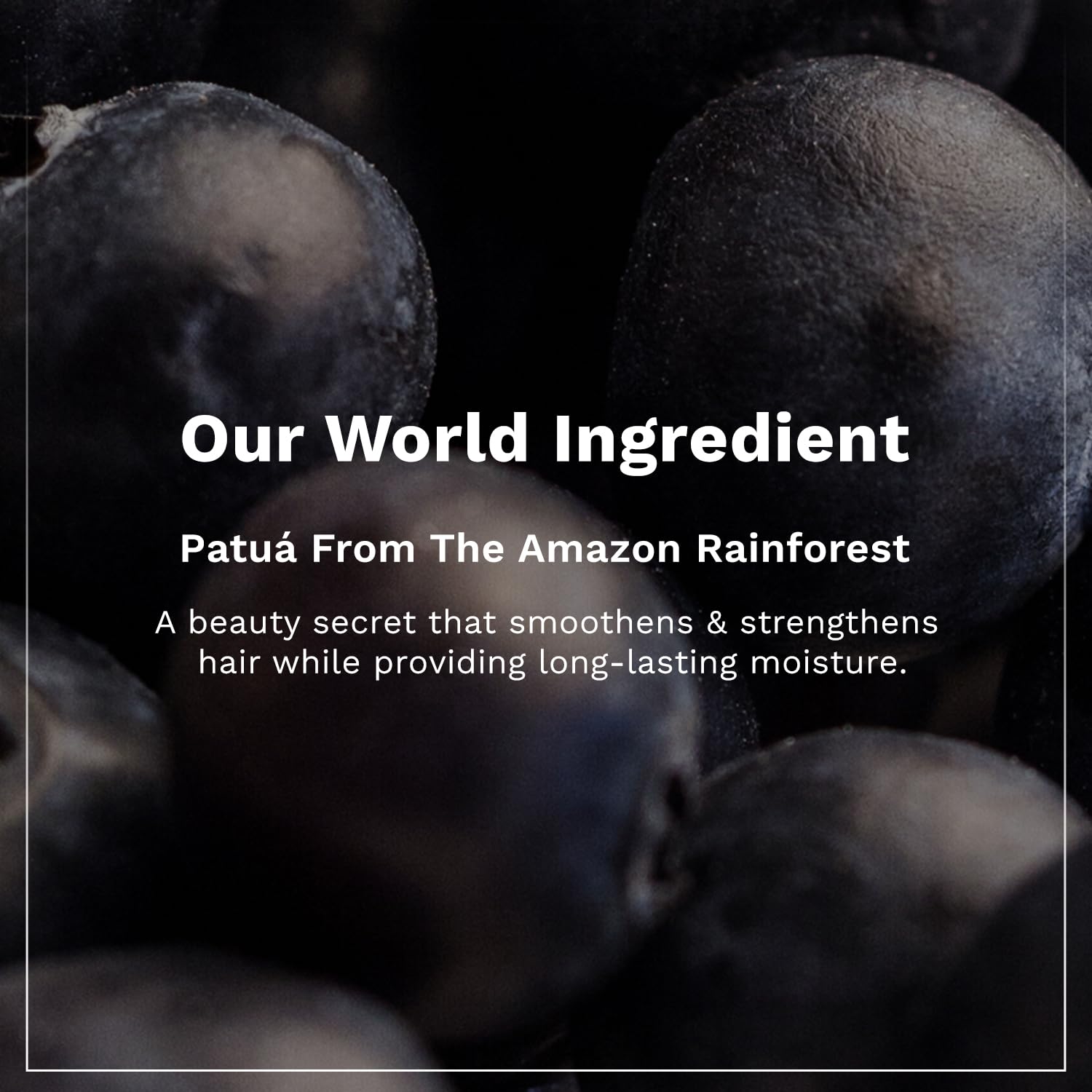 Pilgrim Patuá & Keratin Smoothing Shampoo for Dry Frizzy Hair - Sulfate & Paraben Free Shampoo for Women & Men - Hair Smoothing & Scalp Care - 200ml - Perfect for Daily Use & Salon-Like Results at Home