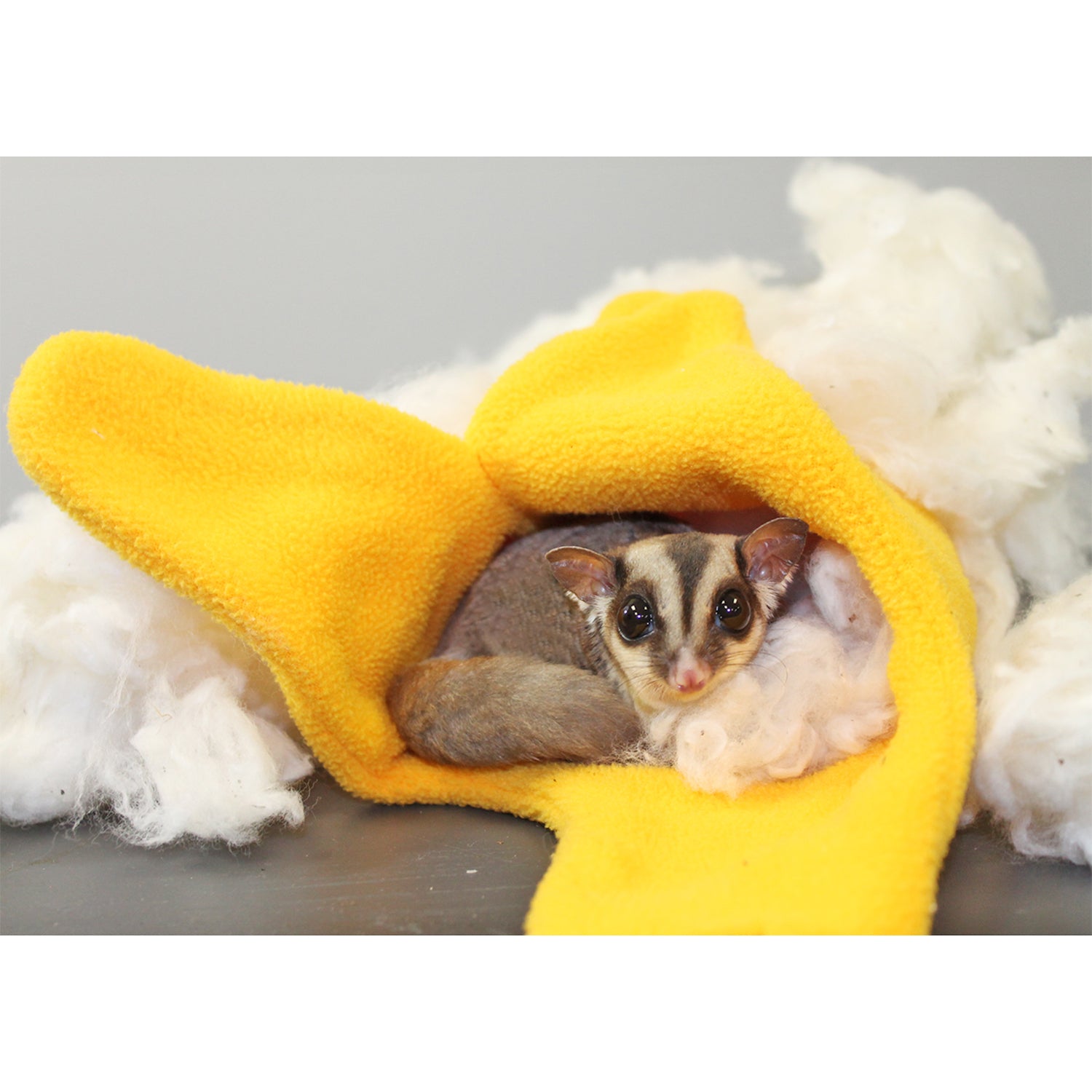 All Natural Nesting Material for Birds - Safe & Eco-Friendly Pet Supplies for Wild Birds, Parrots & Finches - Perfect for Birdhouses, Aviaries & Outdoor Shelters