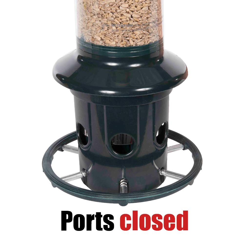 Squirrel Buster Plus Bird Feeder with 25-Pound Wagner Black Oil Sunflower Seeds - Squirrel Proof Bird Feeder for Outdoor Garden, Yard & Backyard Bird Watching