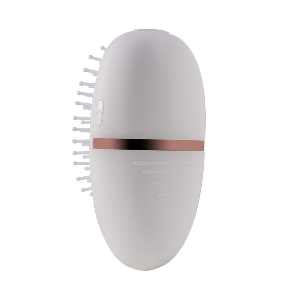 REDAB Electric Hair Brush - Portable Hair Styler & Massager with Negative Ion Technology for Smooth & Healthy Hair - Hair Straightener & Detangler for Home & Travel (White)