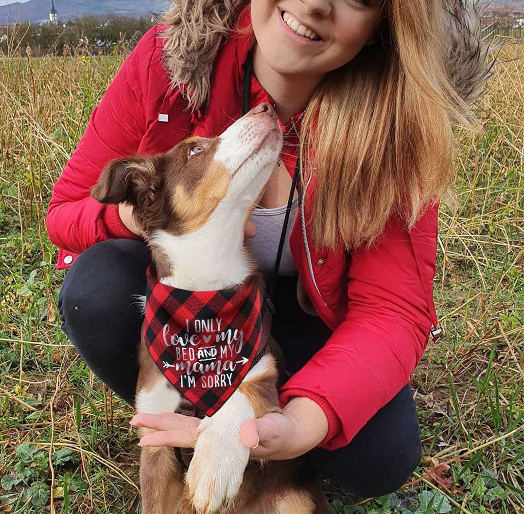 Buffalo Plaid Dog Bandana for Medium & Large Dogs - Triangle Dog Scarf for Pet Lovers - Perfect for Holidays, Photos & Outdoor Adventures