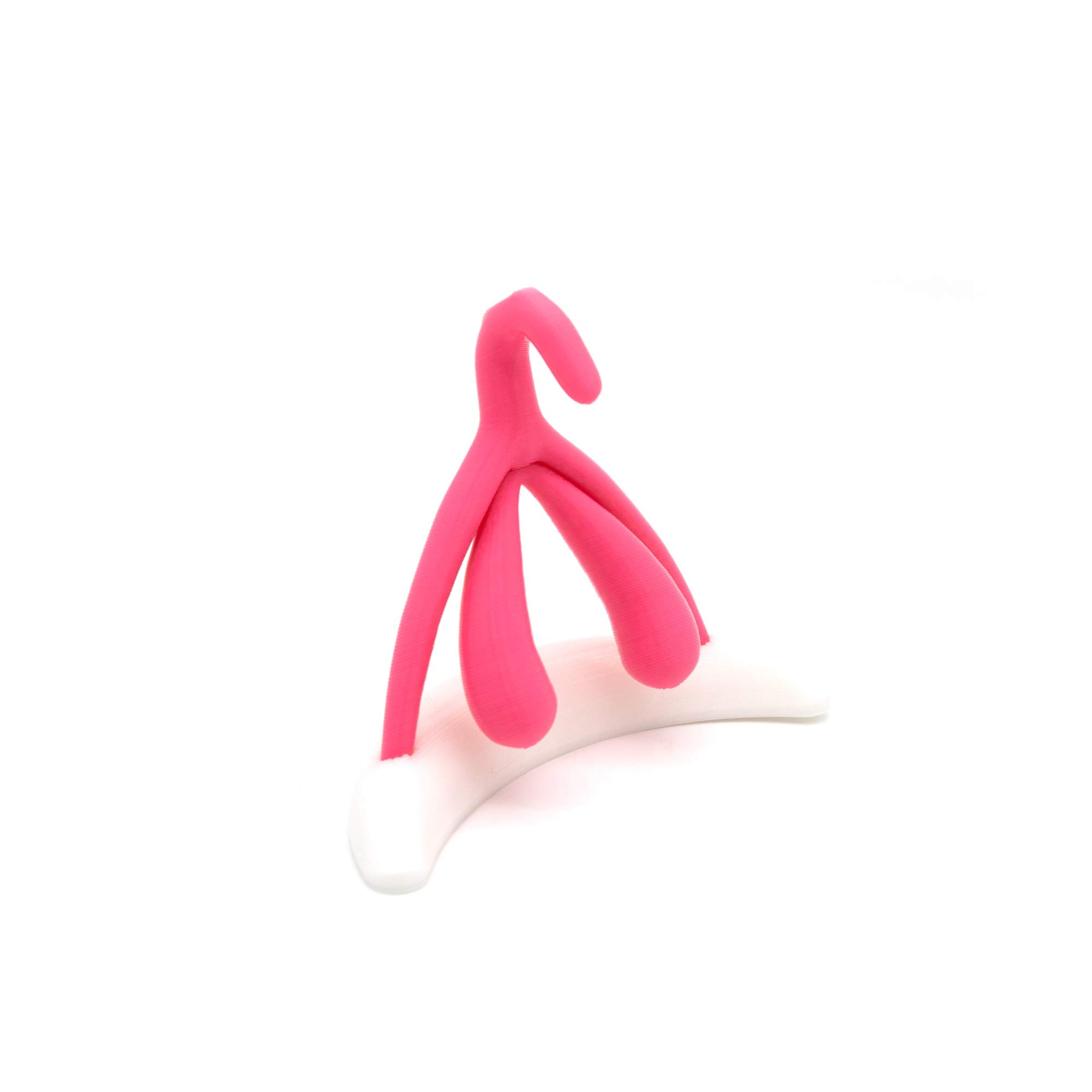 Realistic Full Size Clitoris Model - Pink Anatomical Educational Tool for Medical Students & Sex Educators | Perfect for Classroom Demonstrations & Personal Study