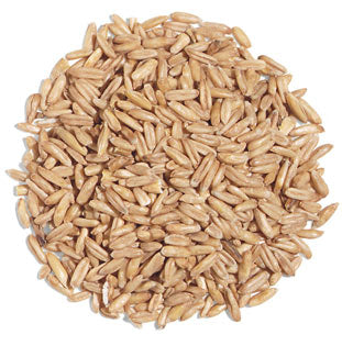 Organic Whole Oats - Premium Rolled Oats for Healthy Breakfast & Baking - Non-GMO, Gluten-Free, Bulk 1lb, 5lb, 10lb Options - Perfect for Oatmeal, Granola, Smoothies & Energy Bars