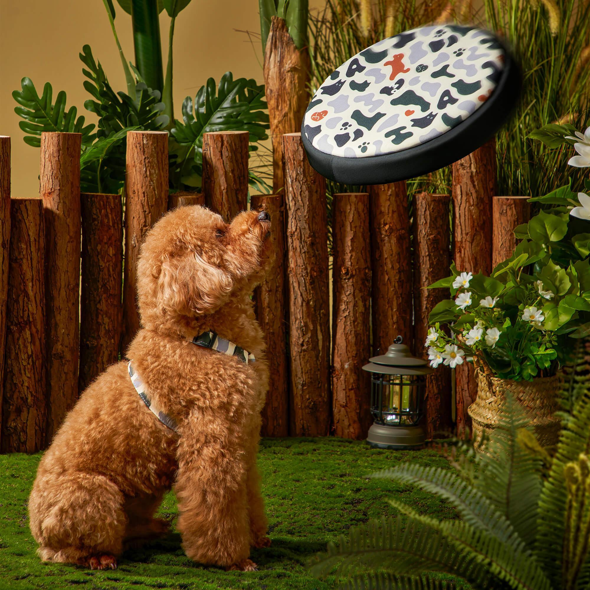 Durable Pet Flying Disc for Dogs - Outdoor Fetch Toy for Active Playtime in Parks & Backyards