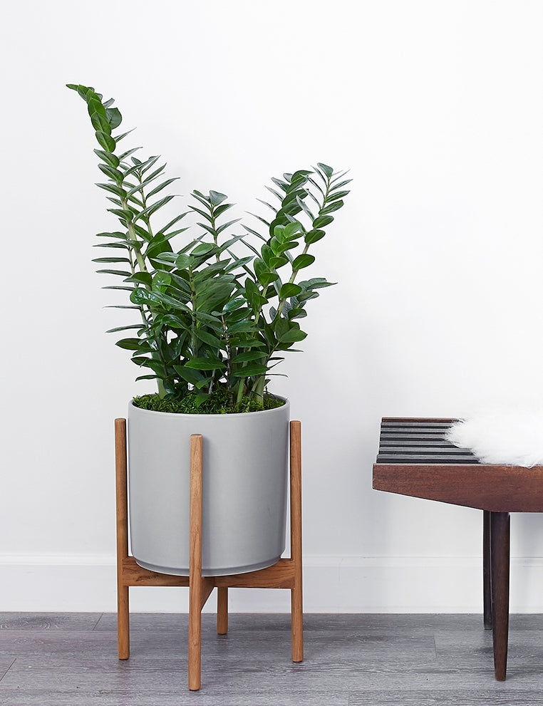 LBE Design Ceramic Planter Pot with Teak Wood Stand - Modern Indoor/Outdoor Flower Pot for Home Decor, Office & Garden Plants