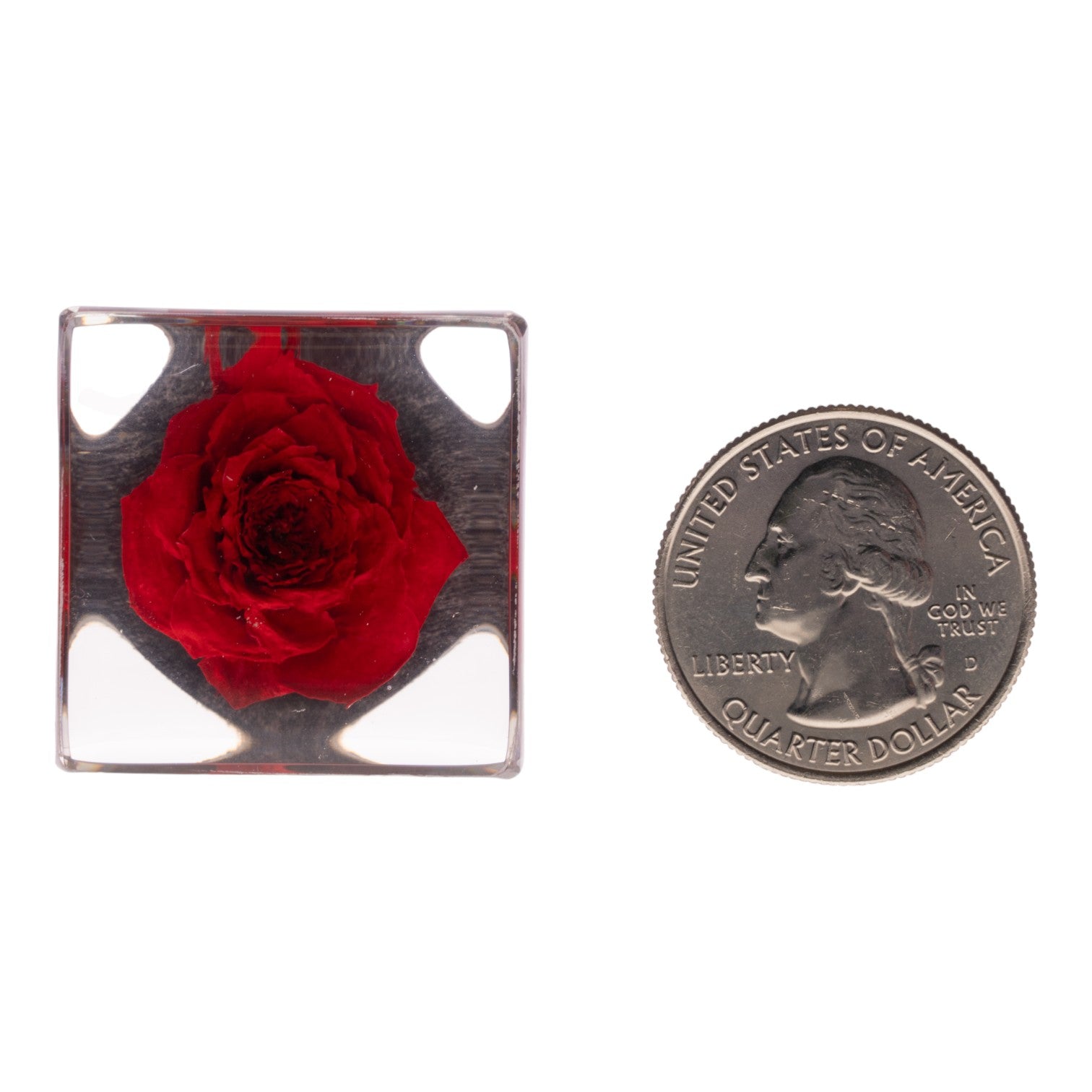 Real Red Rose Preserved in Acrylic Cube Magnet - Perfect for Refrigerator Decor, Office Gifts & Romantic Keepsakes