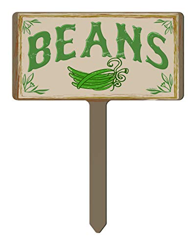 Beans