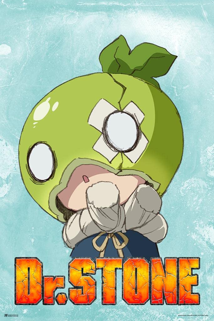 Dr. Stone Anime Poster - Suika Character Portrait, Crunchyroll Webtoon Merch, Manga Wall Art Decor (8x12 Inch) | Perfect for Anime Fans, Bedroom Decor & Otaku Gifts