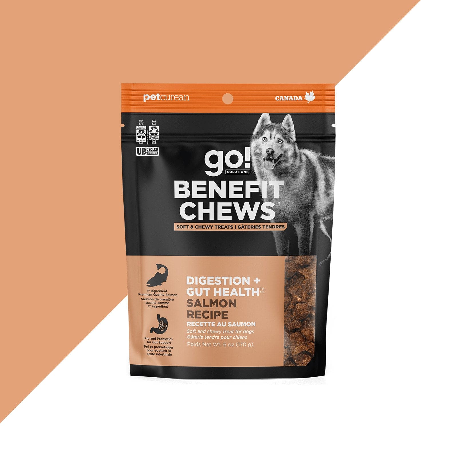 Go! Solutions Digestive Health Salmon Dog Treats - Probiotic Chews for Gut & Digestion Support - Perfect for Sensitive Stomachs & Daily Training Rewards