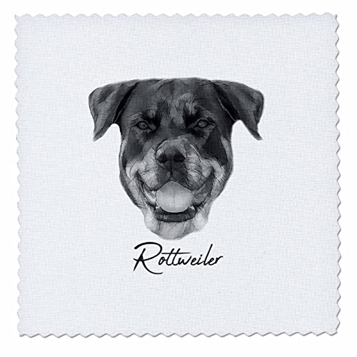 Rottweiler Dog Portrait in Black and White. Dog Br