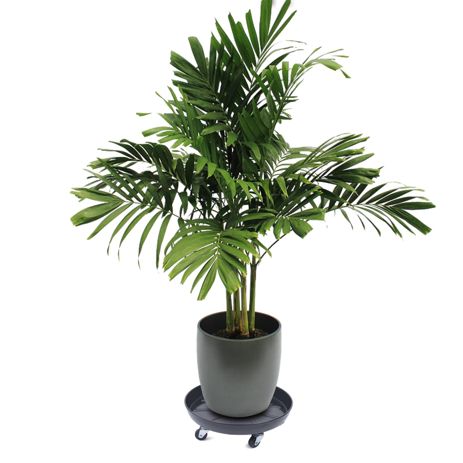 TFCFL 3-Piece 14-Inch Rolling Plant Caddy Set - Heavy Duty Black Plant Stand with Universal Wheels for Indoor/Outdoor Flower Pots | Perfect for Moving Large Plants on Patios, Decks & Greenhouses