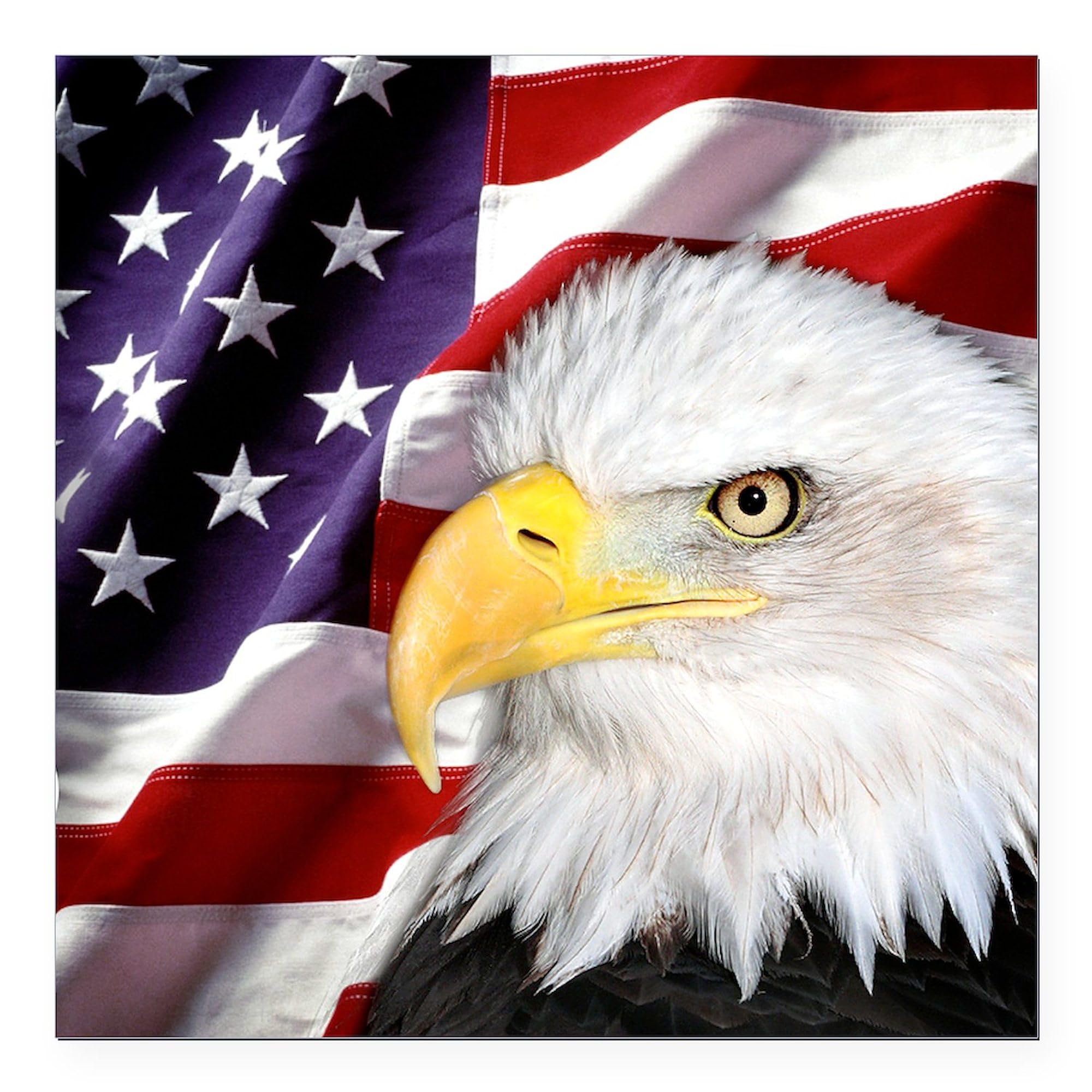 Freedom Flag & Eagle 3x3 Inch Square Car Magnet - Patriotic Bumper Sticker for Cars, Trucks & Vehicles | USA Pride Decoration for Tailgating, Parades & American Holidays