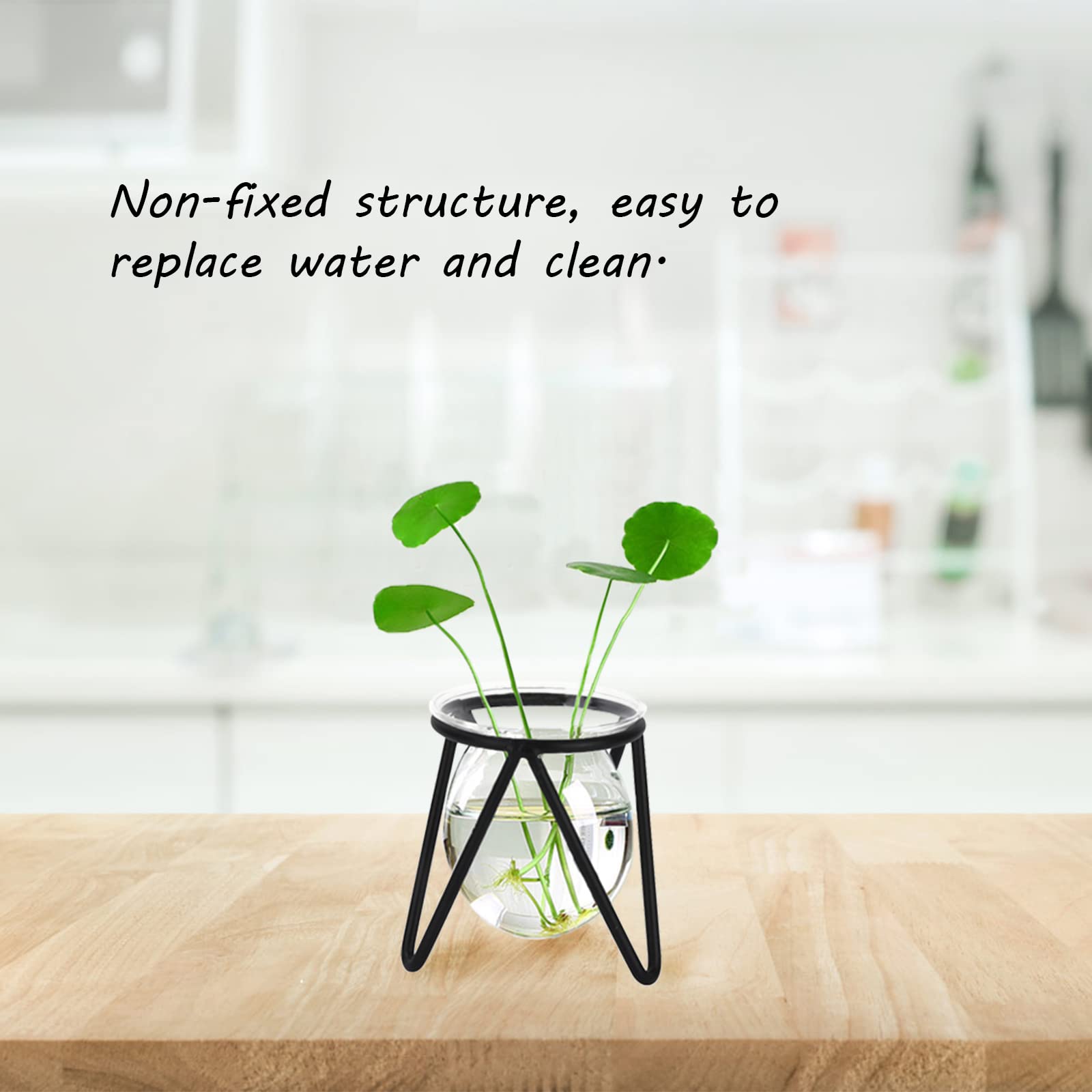 Metal Stand Plant Terrarium - Glass Bulb Vase for Hydroponic Plants | Indoor Home, Office & Garden Decor | Perfect for Succulents, Air Plants & Small Herbs