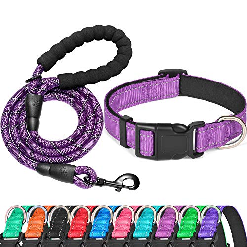 Purple Collar+Leash