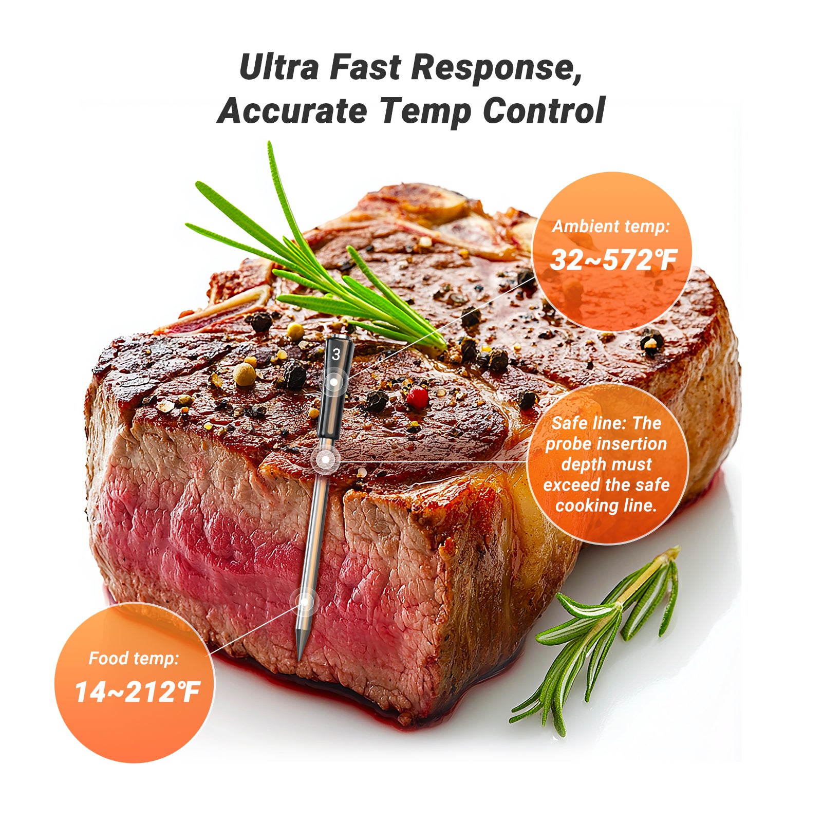 Wireless Meat Thermometer with WiFi & Bluetooth - INT 14 BW for Smart Cooking, Grilling, Smoking & Baking